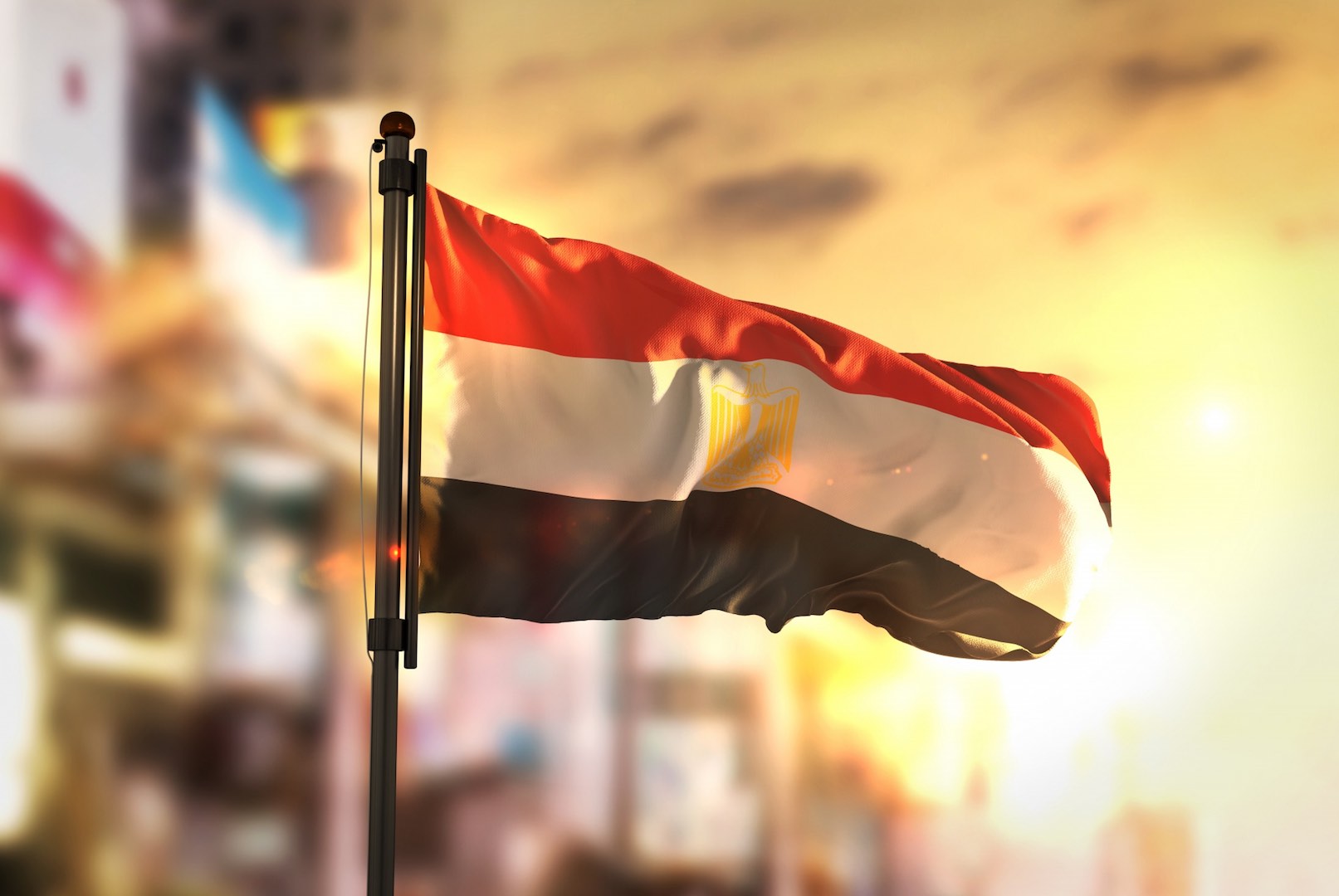 الرئيس السيسي: مصر دائماً سباقة في انتهاج مسار سلام الأقوياء القائم على الحق والعدل